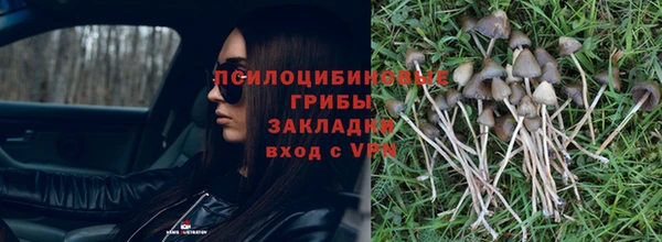 гашишное масло Алексеевка